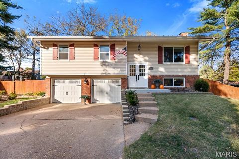 407 Tulsa Avenue Ballwin MO 63021