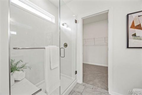 Tiny photo for 104 Quail Bluff Court, Wentzville, MO 63385 (MLS # 26000155)