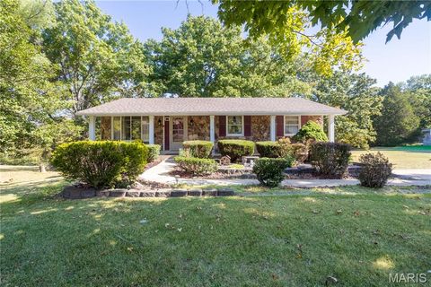 1132 Vicksburg Drive Festus MO 63028