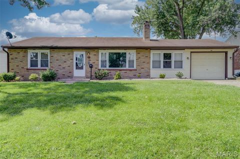 Photo of 7 Santa Cruz Drive, Florissant, MO 63031 (MLS # 26035805)