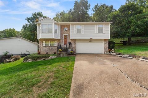 1589 Sparrow Point Lane Fenton MO 63026