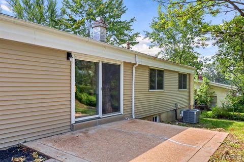 Tiny photo for 815 Ariege Drive, Creve Coeur, MO 63141 (MLS # 26011856)
