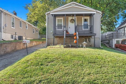 Tiny photo for 827 Cornell Avenue, Webster Groves, MO 63119 (MLS # 25065892)