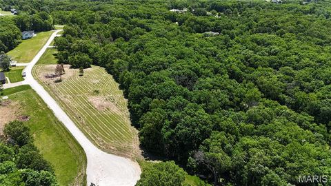 Tiny photo for 130 Merz Meadows Drive, Troy, MO 63379 (MLS # 25067212)