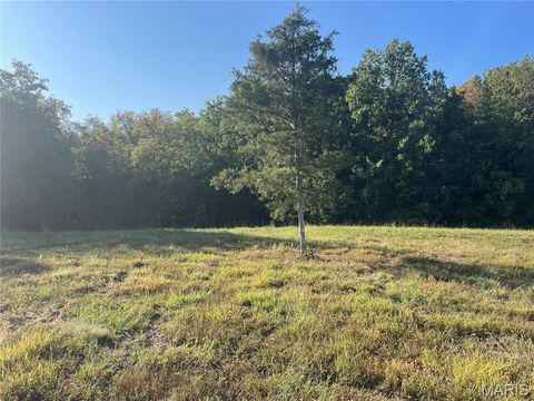 Tiny photo for 130 Merz Meadows Drive, Troy, MO 63379 (MLS # 25067212)