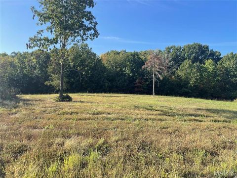 Tiny photo for 130 Merz Meadows Drive, Troy, MO 63379 (MLS # 25067212)