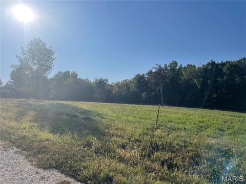 Tiny photo for 130 Merz Meadows Drive, Troy, MO 63379 (MLS # 25067212)