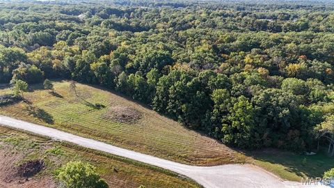 Tiny photo for 130 Merz Meadows Drive, Troy, MO 63379 (MLS # 25067212)