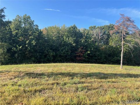 Tiny photo for 130 Merz Meadows Drive, Troy, MO 63379 (MLS # 25067212)