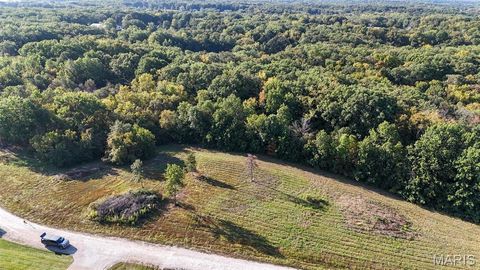 Tiny photo for 130 Merz Meadows Drive, Troy, MO 63379 (MLS # 25067212)