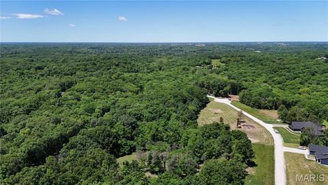 Tiny photo for 130 Merz Meadows Drive, Troy, MO 63379 (MLS # 25067212)