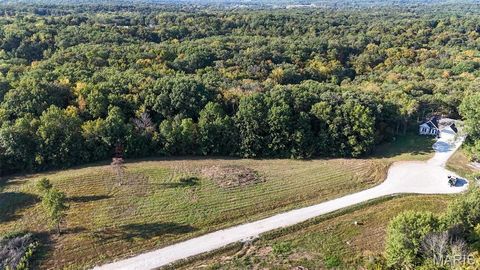 Tiny photo for 130 Merz Meadows Drive, Troy, MO 63379 (MLS # 25067212)