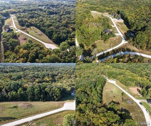 Photo of 130 Merz Meadows Drive, Troy, MO 63379 (MLS # 25067212)