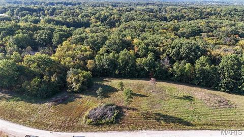 Tiny photo for 130 Merz Meadows Drive, Troy, MO 63379 (MLS # 25067212)