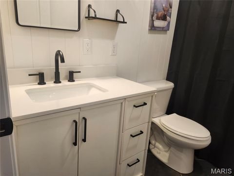 Tiny photo for 19 S St . Charles Street, Bowling Green, MO 63334 (MLS # 25064474)