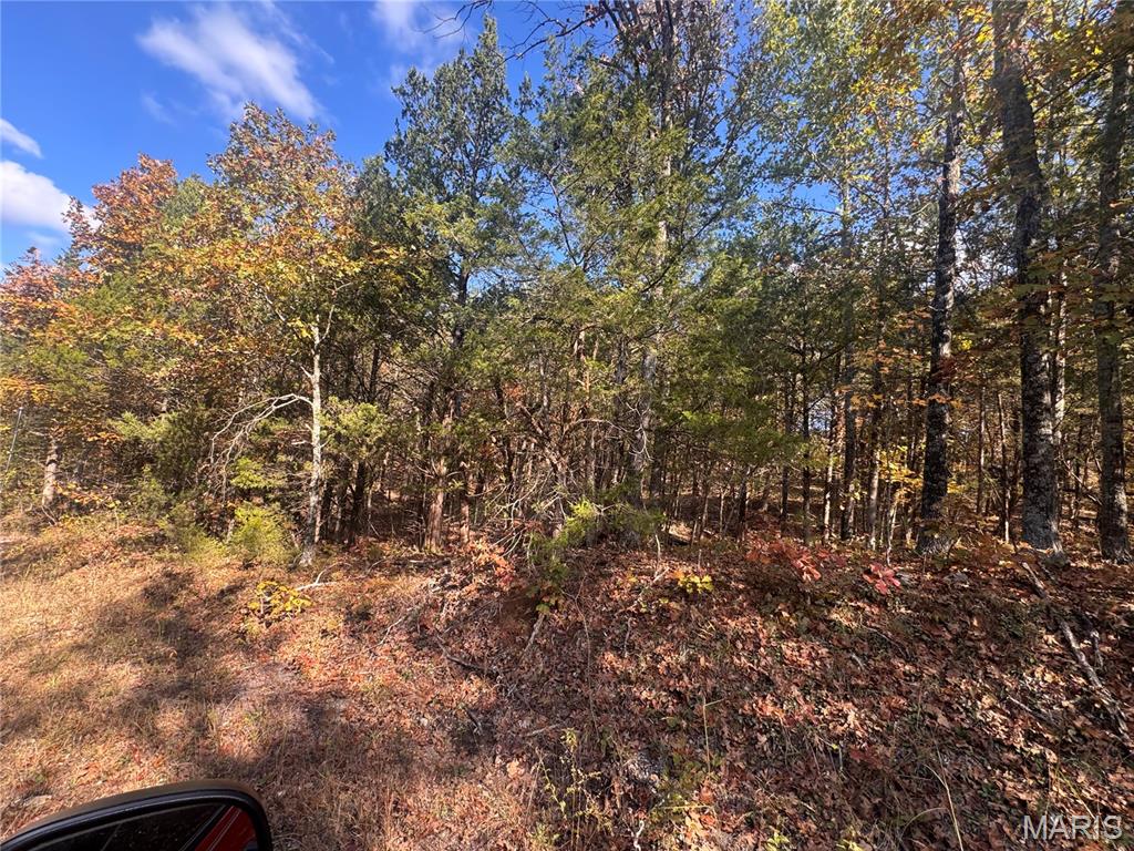 00 Harrison Lake Road