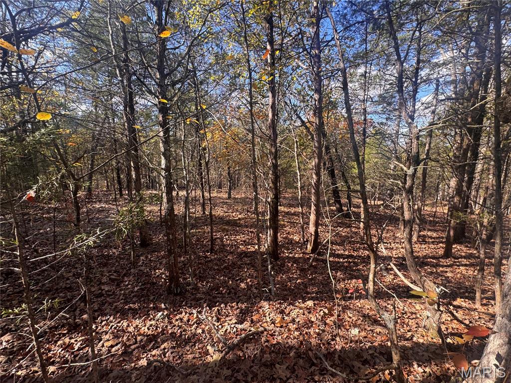 00 Harrison Lake Road