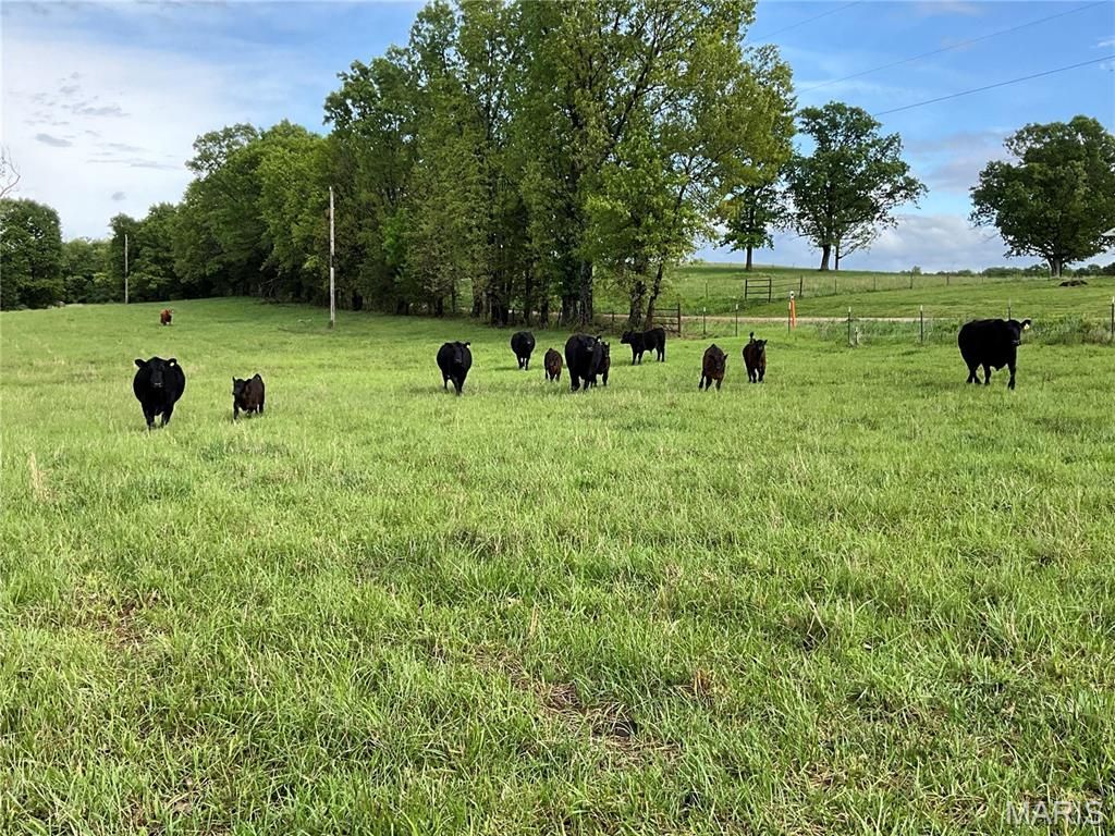 Photo of 000 County Road 6750, West Plains, MO 65775 (MLS # 26026332)
