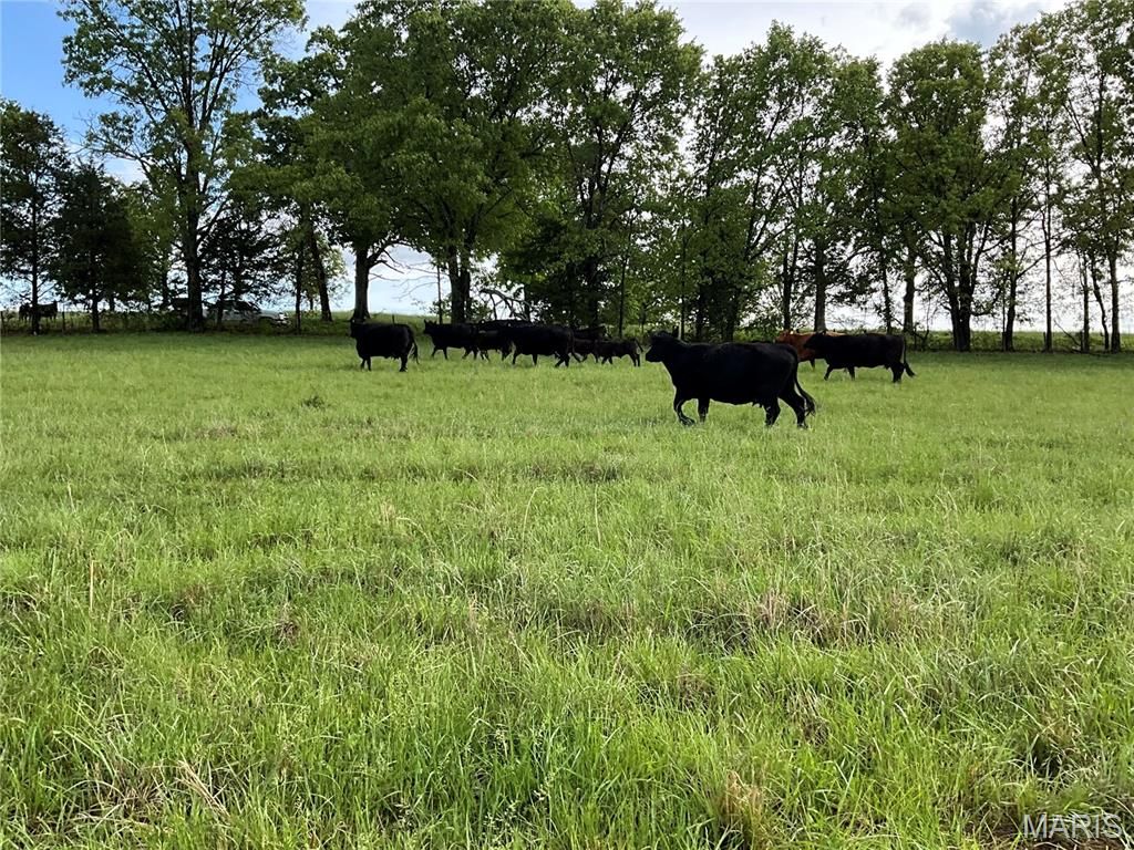 Photo of 000 County Road 6750, West Plains, MO 65775 (MLS # 26026332)