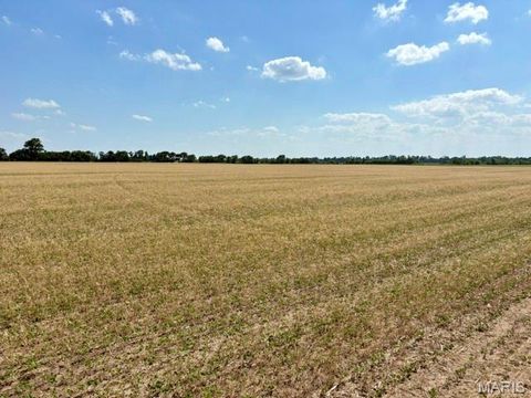 Tiny photo for 0 S Highway BB, East Prairie, MO 63845 (MLS # 26030953)