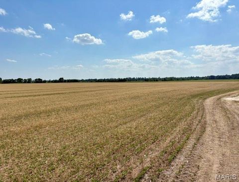 Tiny photo for 0 S Highway BB, East Prairie, MO 63845 (MLS # 26030953)