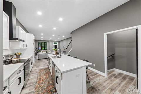 Tiny photo for 2925 Lafayette Avenue, St Louis, MO 63104 (MLS # 26028350)