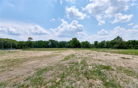 Tiny photo for 19661 Longspur Trail, Bowling Green, MO 63334 (MLS # 26045939)