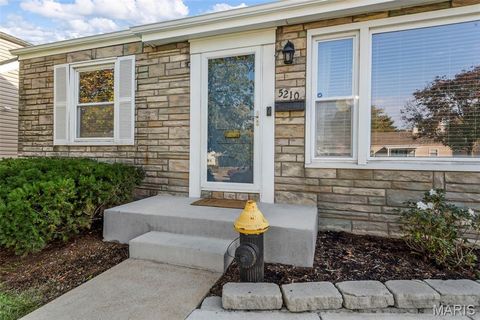 Tiny photo for 5210 Parker Avenue, St Louis, MO 63139 (MLS # 25070727)