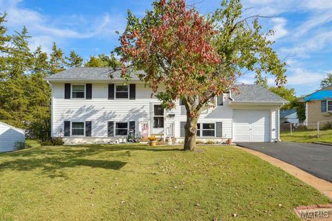 702 W Washington Street O'Fallon IL 62269