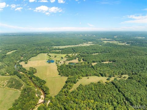 Photo of Steelville, MO 65565 (MLS # 25073739)