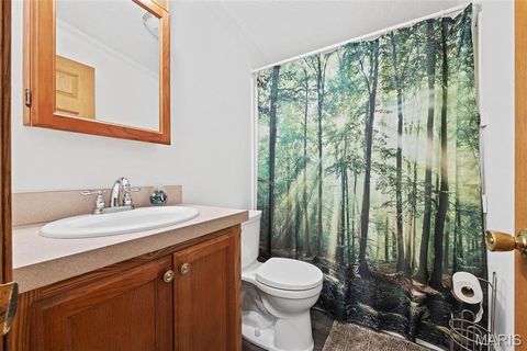 Tiny photo for 757 Birkhead Road, Winfield, MO 63389 (MLS # 26017116)