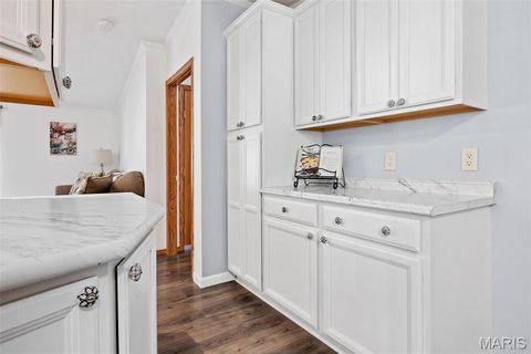 Tiny photo for 757 Birkhead Road, Winfield, MO 63389 (MLS # 26017116)