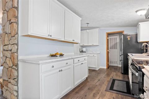 Tiny photo for 757 Birkhead Road, Winfield, MO 63389 (MLS # 26017116)