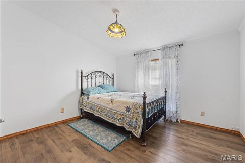 Tiny photo for 757 Birkhead Road, Winfield, MO 63389 (MLS # 26017116)