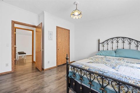 Tiny photo for 757 Birkhead Road, Winfield, MO 63389 (MLS # 26017116)