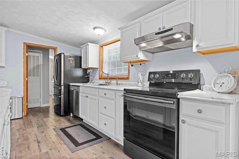 Tiny photo for 757 Birkhead Road, Winfield, MO 63389 (MLS # 26017116)