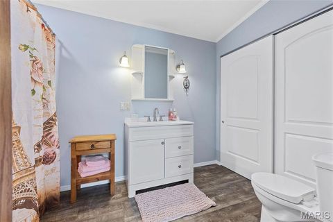 Tiny photo for 757 Birkhead Road, Winfield, MO 63389 (MLS # 26017116)