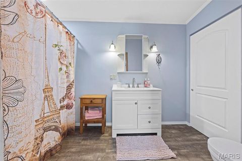 Tiny photo for 757 Birkhead Road, Winfield, MO 63389 (MLS # 26017116)