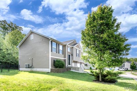 Tiny photo for 1548 St. Charles Dr DR, Hillsboro, MO 63050 (MLS # 26029594)