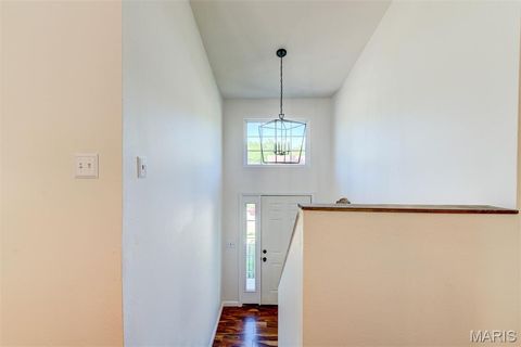 Tiny photo for 1548 St. Charles Dr DR, Hillsboro, MO 63050 (MLS # 26029594)