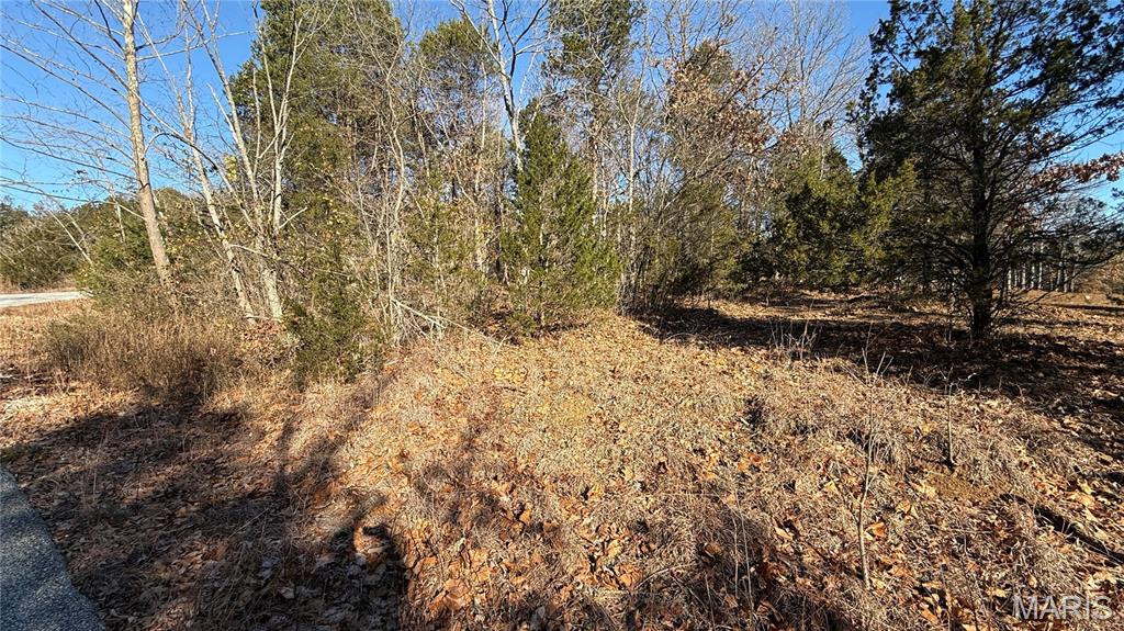 Raintree Plantation Sec 19 - Land