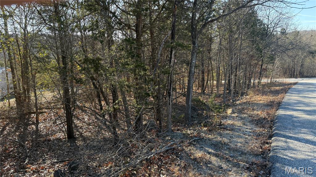 Raintree Plantation Sec 19 - Land