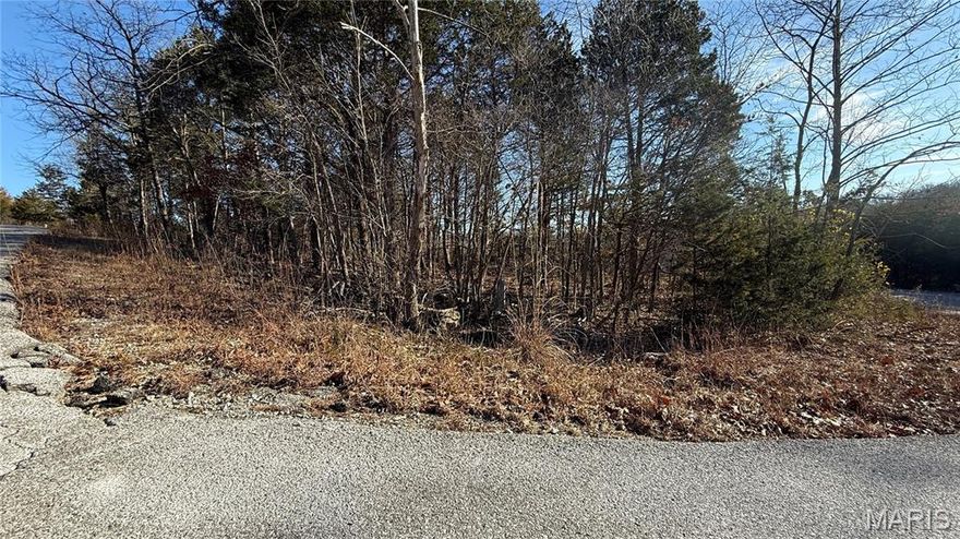 Gated Lake Community – Prime 0.31 Acre Corner Lot
Build your custom home in the sought-after Raintree Plantation! This wooded, gently rolling corner lot is perfect for a walk-out basement design. Enjoy ultimate resort living with access to 4 lakes (boating/fishing), a white sand beach, an 18-hole golf course, a clubhouse, and a community pool. Gated security and a tranquil atmosphere make this the perfect spot for your next chapter. Utilities at street. Come see why life is better at the lake!