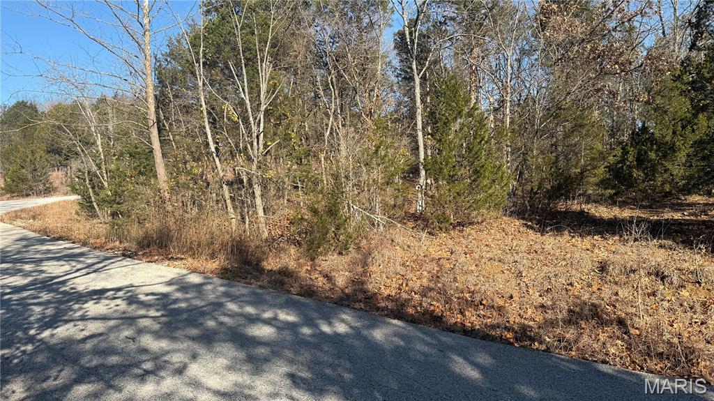 Raintree Plantation Sec 19 - Land