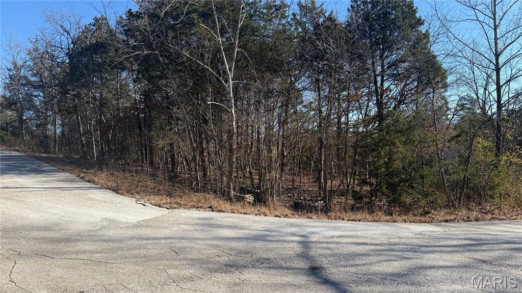 Raintree Plantation Sec 19 - Land