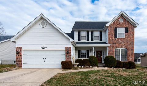 1745 Lake Meade Drive Pacific MO 63069