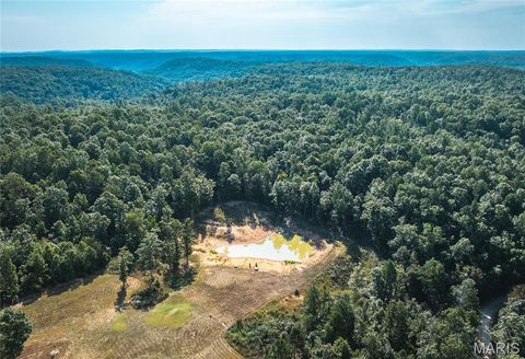 Tiny photo for 8096 Buffington Road, Summersville, MO 65571 (MLS # 26030314)