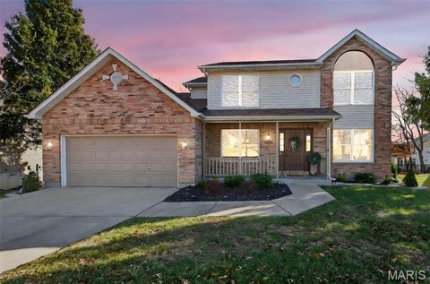 704 Richard Avenue Festus MO 63028