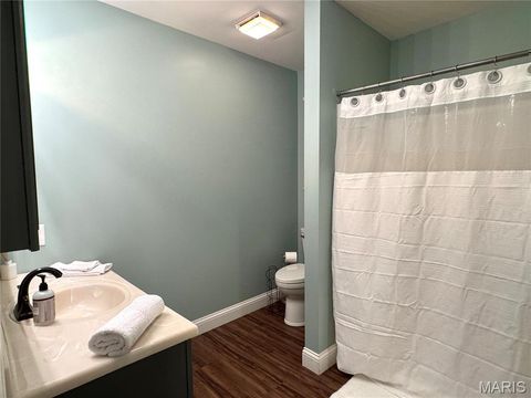 Tiny photo for 21505 Highway 61, Bowling Green, MO 63334 (MLS # 26001437)