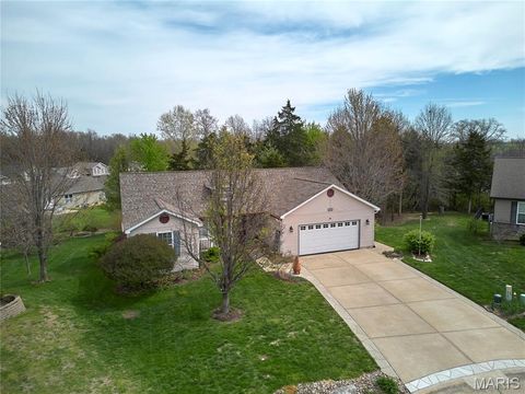 Photo of 131 Hollyhock Drive, Troy, MO 63379 (MLS # 26020941)